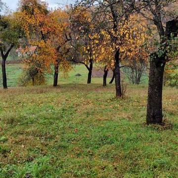 Продам будинок у мальовничому куточку