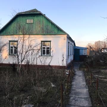 Тихі верби
