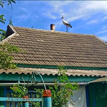 Будинок в с. Черевки Миргородського району