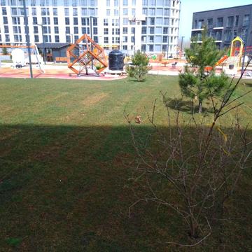 1 к.кв. в ЖК City Park. ЖК City Park