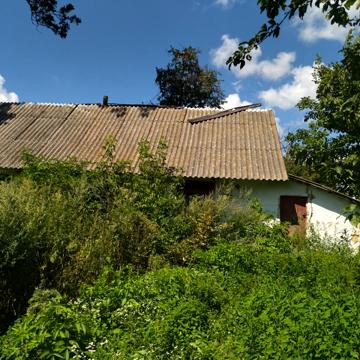 Центральна, 6