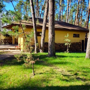 Будинок біля води серед соснового лісу