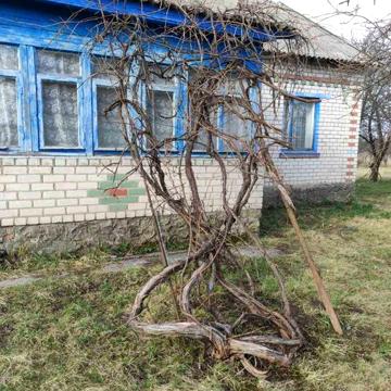 Будинок трикімнатний у Гульську