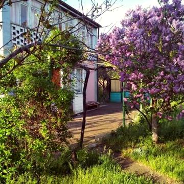 Продам дом / дача на Тилигульcком лиманe