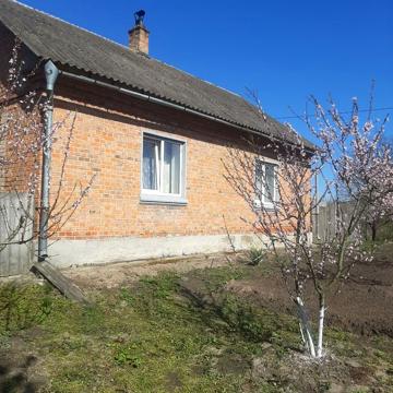 Продам або обміняю будинок