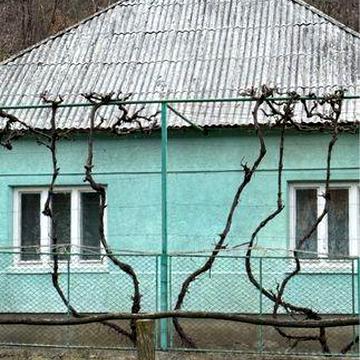 Продається будинок с. Лісарнія
