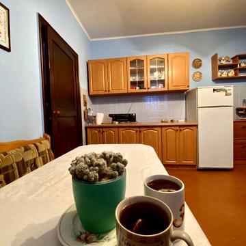 Капитальный дом в который вложена душа! Ремзавод. Продажа с мебелью!