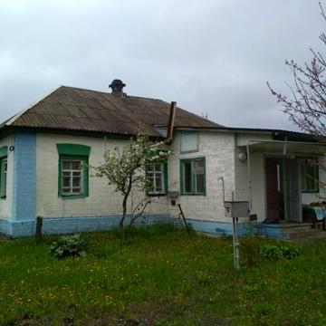 Продам будинок в с. Гоголів, Київська область