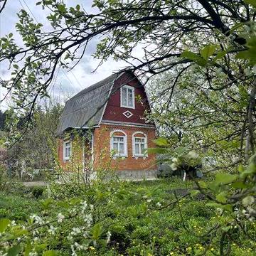 Казковий дачний будинок поруч з сосновим лісом.