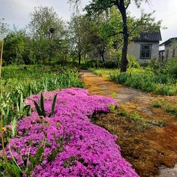 Продам будинок, вулиця Солончакова, район Отечественная, Янтарная, Гри