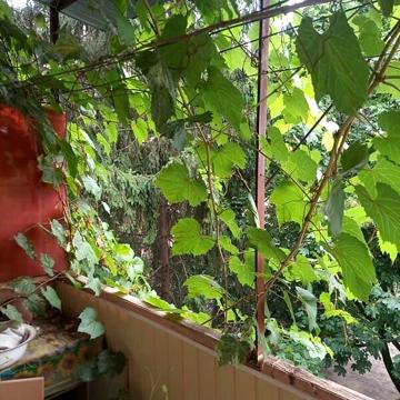 Продаж 3к Квартира Подружжя Ганичів (Гвардійська) вулиця