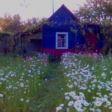 Продам дачу