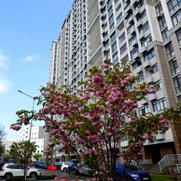 Продаж 3к 95 кв.м  Новопечерськ  ЖК Підвисоцький   Кахи Бендукідзе 2 ЖК Підвисоцький