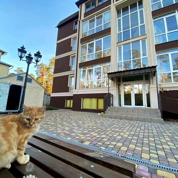 Продаж 2к Квартира Антонія Михайловського (Малиновського) вулиця ЖК Олсия