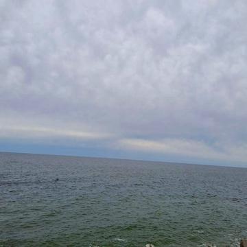 Продам будинок біля МОРЯ Чорноморськ