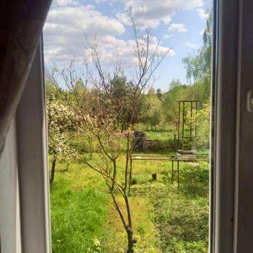 Дача під Житомиром. Ліс, річка, будинок