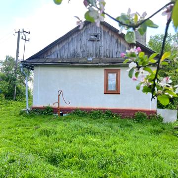 Хатинка у мальовничій місцевості поруч сосновий ліс та річка