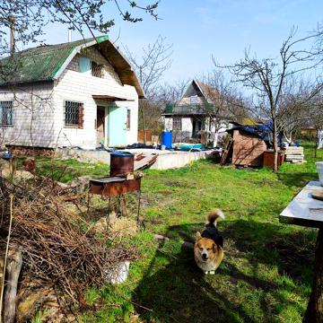 Продається гарна сонячна дачна ділянка з будинком