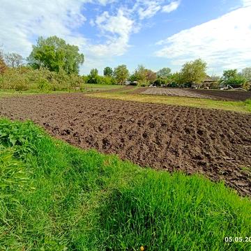 Продам будинок  в Чернігівській області.