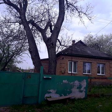 Продається будинок місто Знамянка (с. Петрове провулок Шкільний 10)