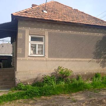 Будинок з земельною ділянкою