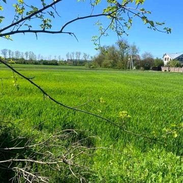 Недобудова в с. Рогозів з кутовою ділянкою