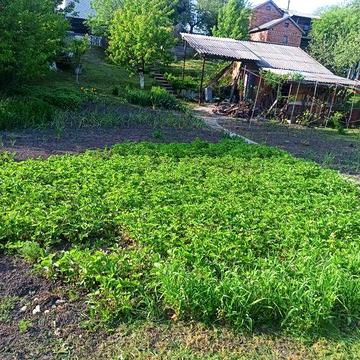 Продам Садовий будинок з земельною ділянкою