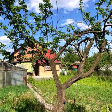 Продам дачний будинок (8387)