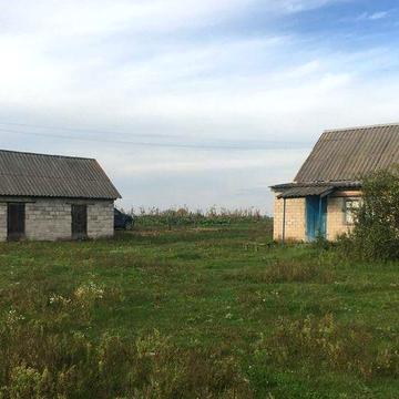 Дом с. Сорочино (c. Сорочине) , рядом река Орель, лес.