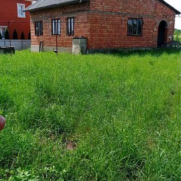 Будинок + пів гектара чорнозема