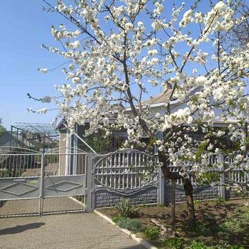 Продам будинок з ремонтом, гаражем та землею