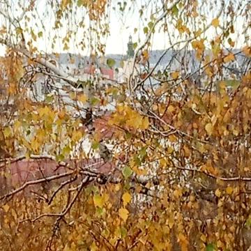 вул. Тарнавського, 3х кім квартира, продаж ЖК тарнавського
