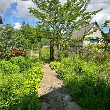Продам Дачу/Дом, 6 соток,СКВАЖИНА, ЕЛЕКТРОЕНЕРГИЯ, с.Чубинское