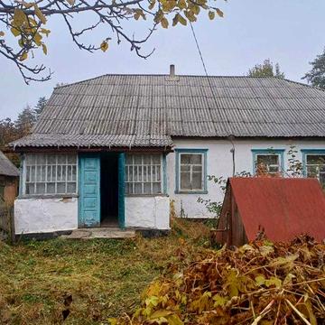 Будинок  , с. Більківці, Коростишівського р-ну, Житомирська обл.