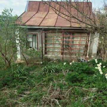 Продається дача с. Березове