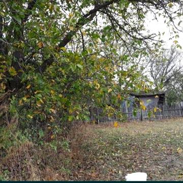 Дом с участком в с.Борозенка Роменского района.