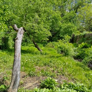 Київ, Будинок, Звіринецька, Чорна Гора, 6 соток