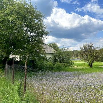 Будинок в Богданівці