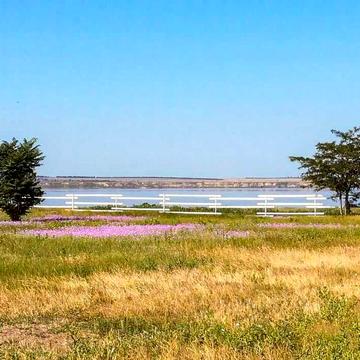 Дом на берегу, дом у моря, дом с выходом на воду, большой участок.