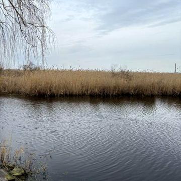 Продам Дачу, на реке Самара, Новоселовка, Лебединный плес, Новоселица