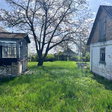Продається будинок с Вербова Білоцерківський рн