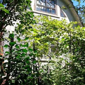 Цегляна дача вул. Спаська (район кінцевої зупинки автобусу 4 ), 10 сот