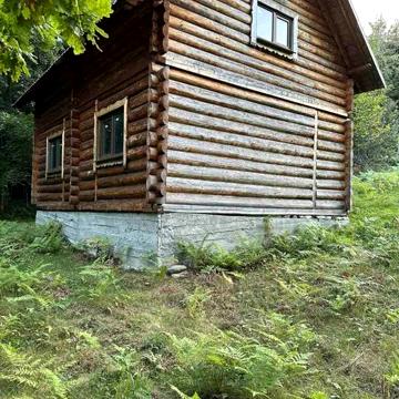 Продам будинок в с.Шешори