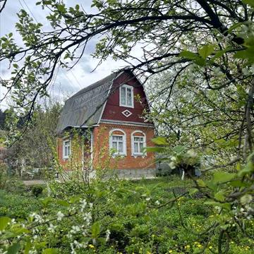 Лісова, 7