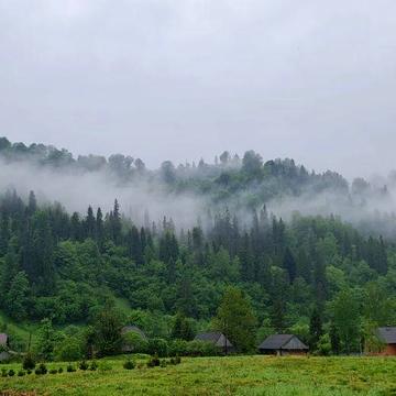 Здається на довгострокову оренду окремий будинок у Карпатах