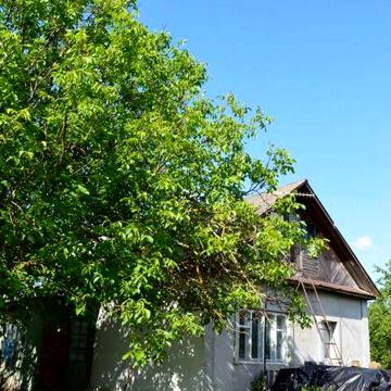 Продається будинок. Чернігівська обл.
