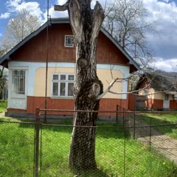 Продаю будинок із земельною ділянкою в смт. Кути