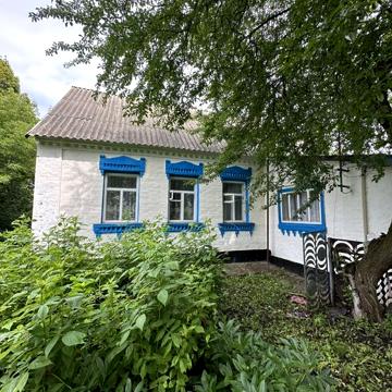 Будинок. Продаж. Село Пологи. Білоцерківський район