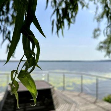 Продам будинок в заповідній зоні міста