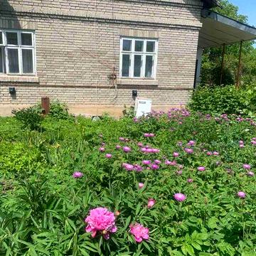 Будинок в Скала -Подільська